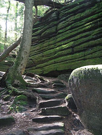 Scenics & Landscapes