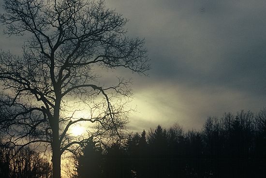 Scenics & Landscapes