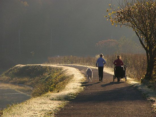 People & Activities in the Park