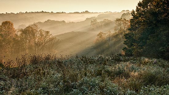 Scenics & Landscapes