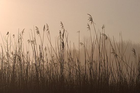 Scenics & Landscapes