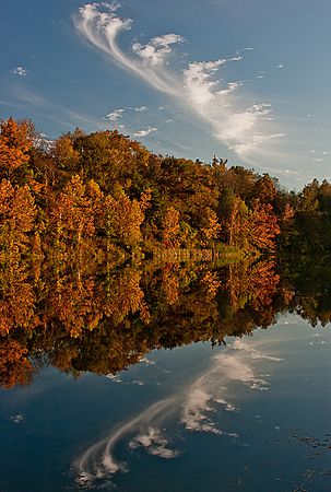 Scenics & Landscapes