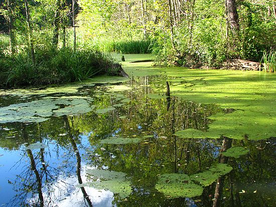 Scenics & Landscapes