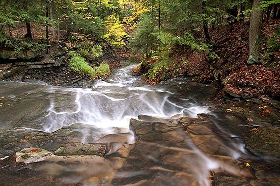 Scenics & Landscapes