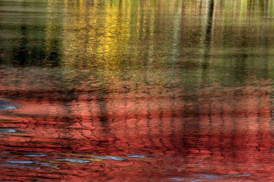 Scenics & Landscapes