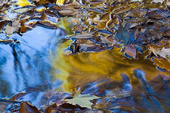 Scenics & Landscapes