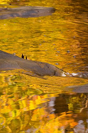 Scenics & Landscapes