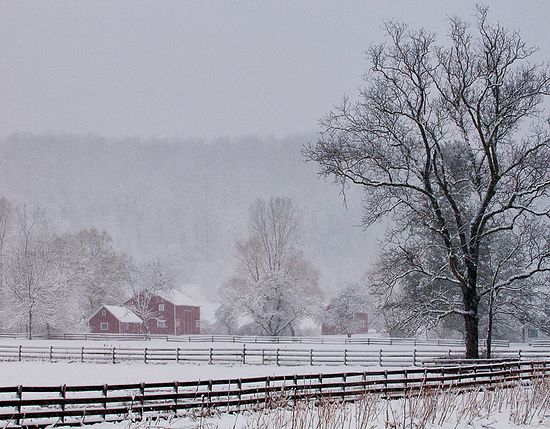 Scenics & Landscapes