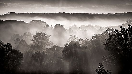 People & Activities in the Park / Black & White
