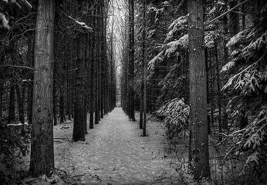 People & Activities in the Park / Black & White