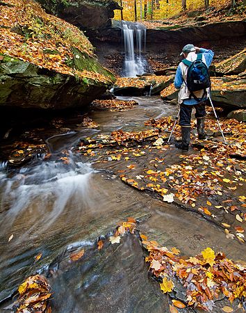 People & Activities in the Park