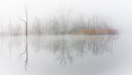 Landscapes and Activities in the Park