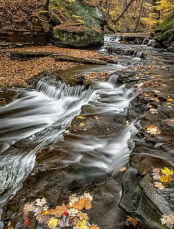Landscapes and Activities in the Park