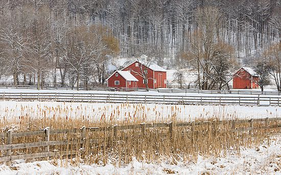 Landscapes and Activities in the Park