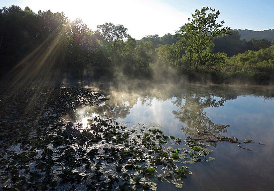 Landscapes and Activities in the Park