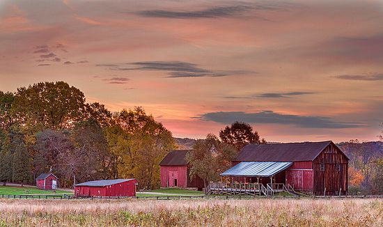 Landscapes and Activities in the Park