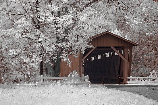 Ladscapes and Activities in the Park