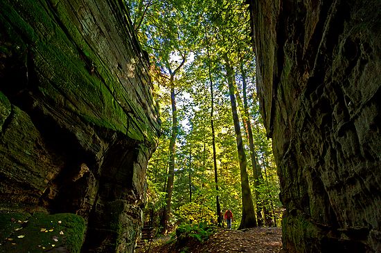 Landscapes and Activities in the Park