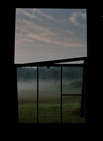 Landscapes and Activities in the Park