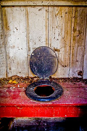 Landscapes and Activities in the Park