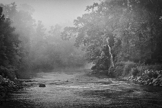 Landscapes and Activities in the Park