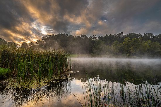 Third Place\n\nLandscape\n\nVijay Ramen