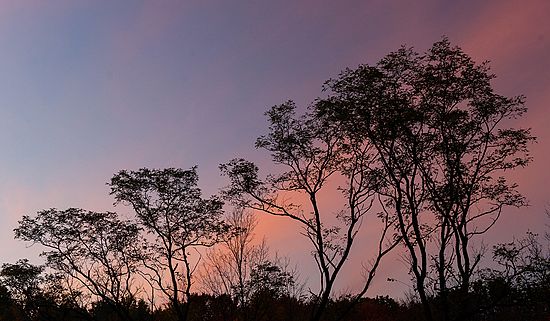 Honorable Mention\n\nLandscape\n\nSummer Sunset