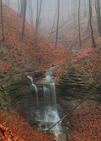 Second Place\n\nWaterfalls & Cascades\n\nBrandywine Tributary