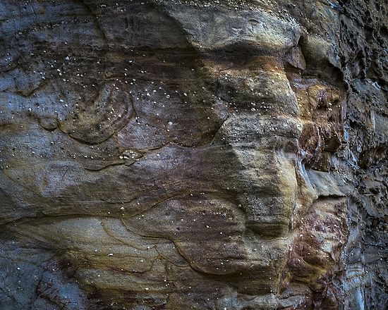 Landscape\n\nScape Expression