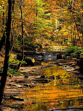Landscape\n\nBridal Veil Upstream