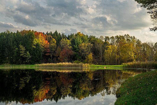 Landscape\n\nHorseshoe Pond