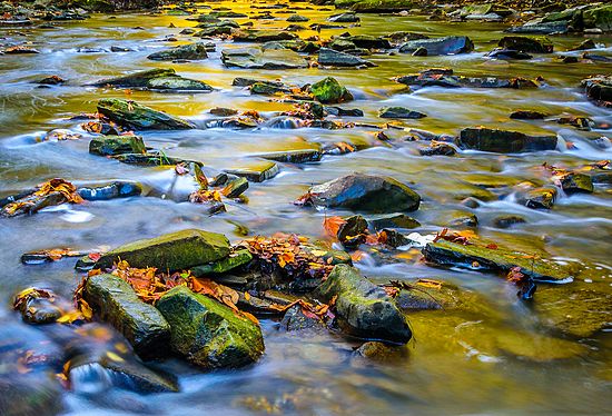 Landscape\n\nMorning Glory