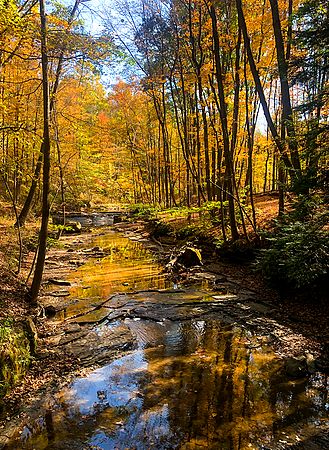 Landscape\n\nSunday Afternoon