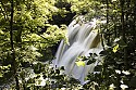 Waterfalls & Cascades\n\nBrandywine Falls