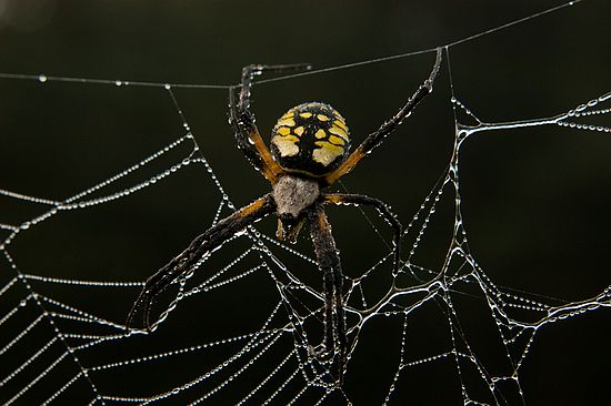 &copy;2010 BAMettle  (330)6070200