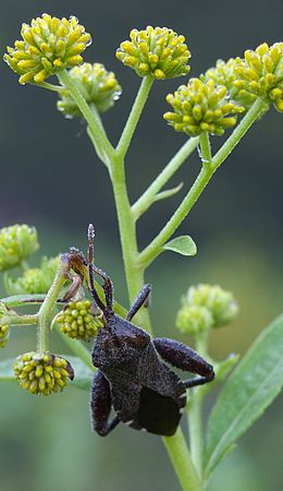 &copy;2010 BAMettle  (330)6070200