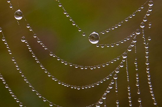 &copy;2010 BAMettle  (330)6070200