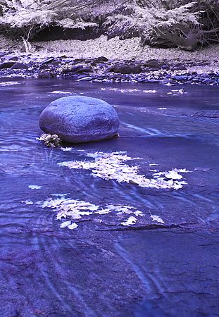 Aaron Oberlander 2009