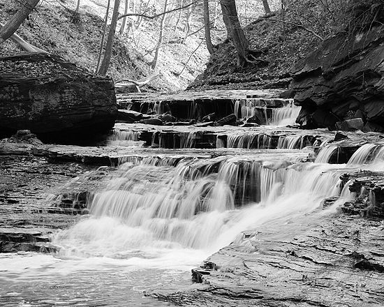 &copy; Jeffrey D Smith 2009