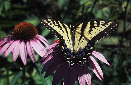 Autosave-File vom d-lab2/3 der AgfaPhoto GmbH