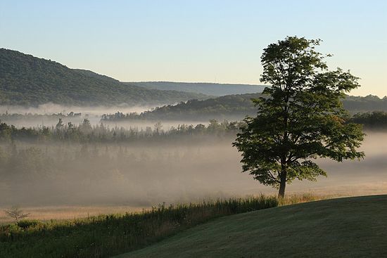 Balsam Dwamp, Canaan Valley State Park, WV
