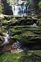 Blackwater Falls State Park, WV
