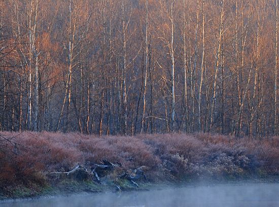 Morning on the River