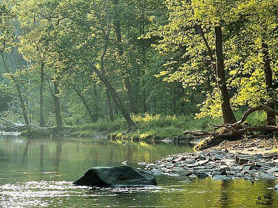 Tinkers Creek, Bedford