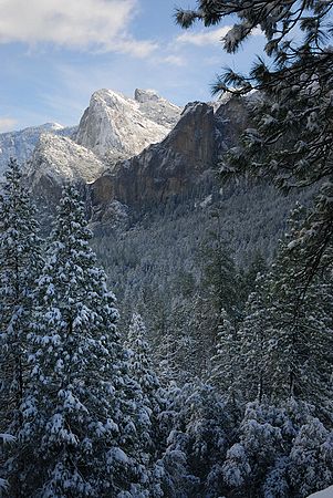 Copyright Joshua McLaughlin 2006