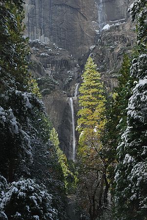 Copyright Joshua McLaughlin 2006