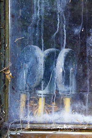 Cuy Valley National Park \nSpring 2010