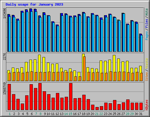 Daily usage for January 2023