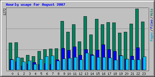 Hourly usage for August 2007