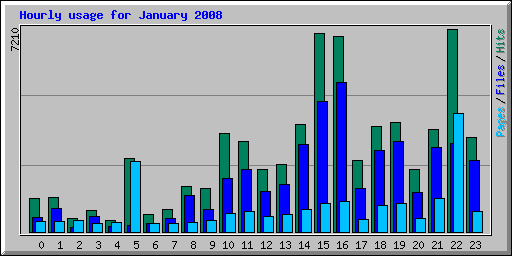 Hourly usage for January 2008